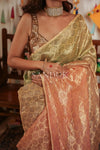 Zoya (Saree)