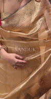 Tissue Chand Tara (Saree)