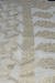 Jaal Water Zari Saree