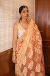Amber (Saree)