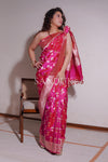 Gulabo (Saree)