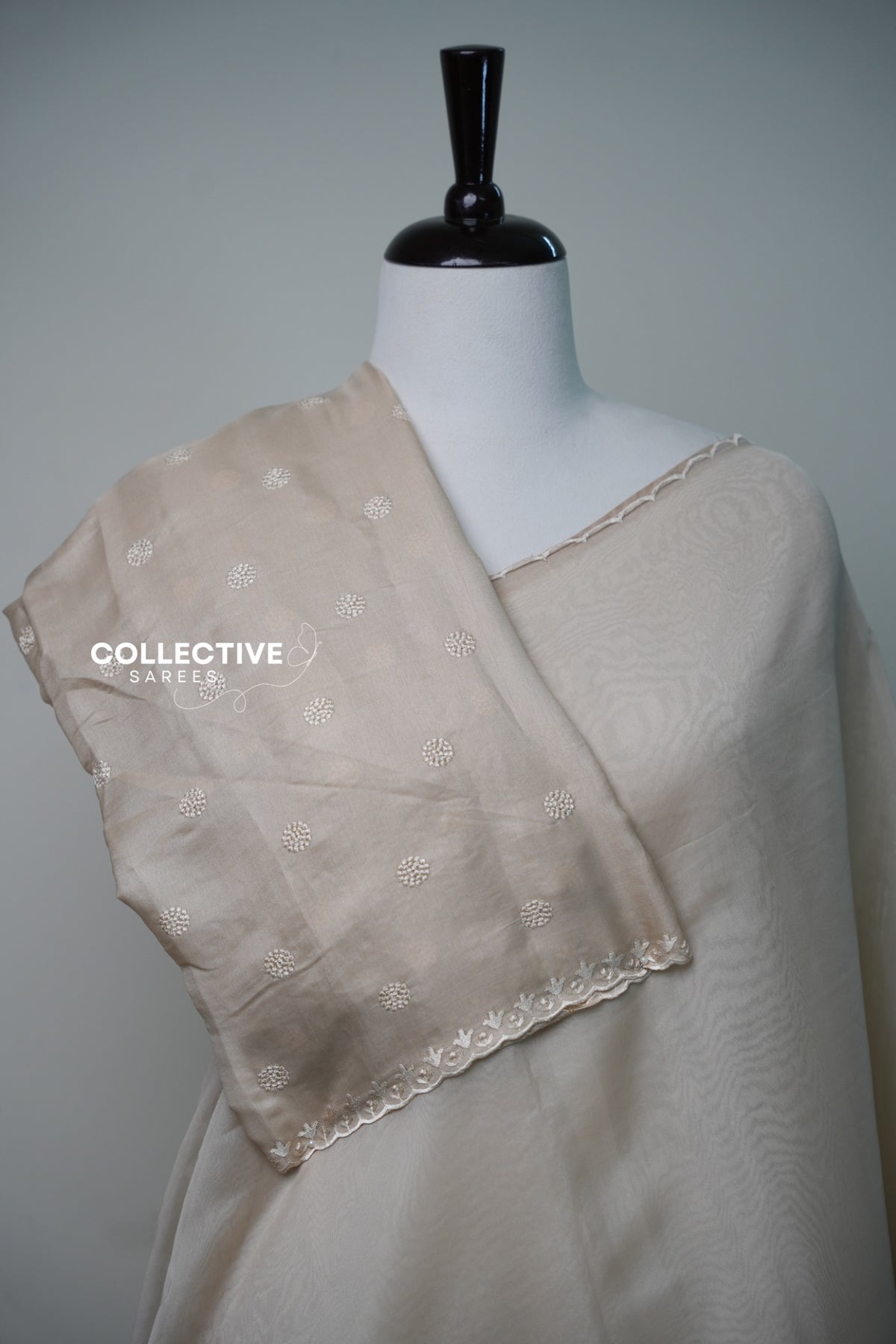Beige organza saree with floral and bird border